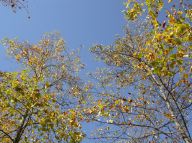 DSCN5301.jpg