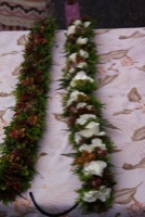 IMG_6909_lzn