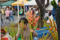 IMG_6948_lzn