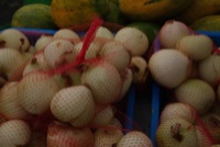 IMG_6977_lzn