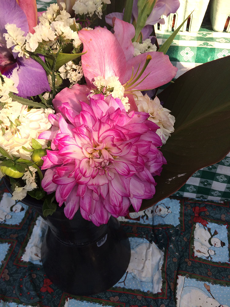 iPhone 5s Madison, WI Farmer's Market 2014