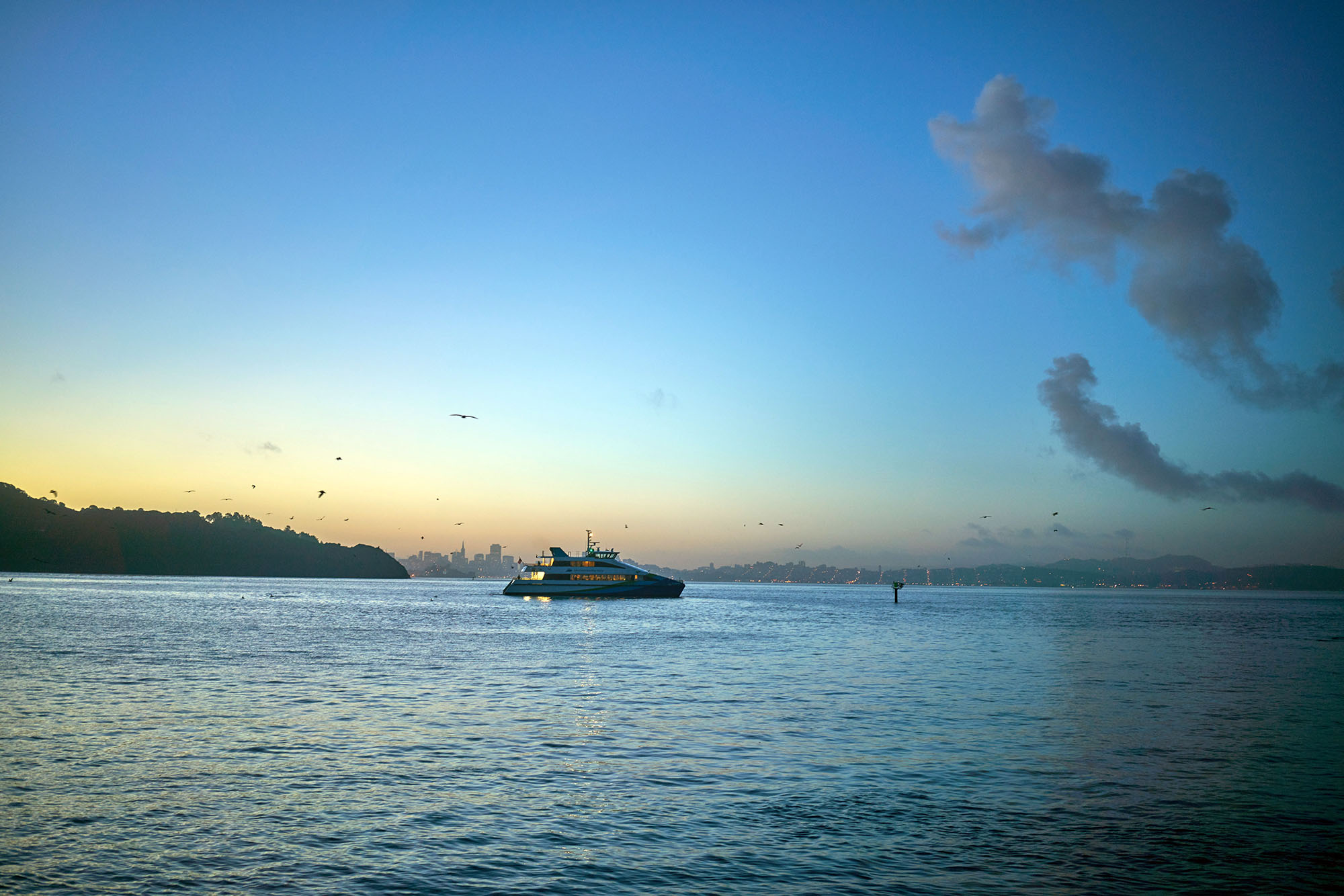 Tiburon, California Morning Light December 2015