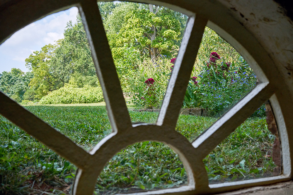 Monticello Panorama